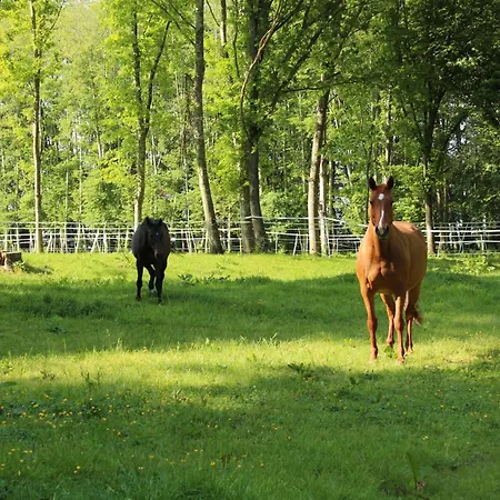 Domaine De L'olympe *