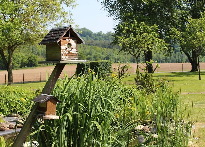 Domaine De L'olympe Holiday home Domart-en-Ponthieu