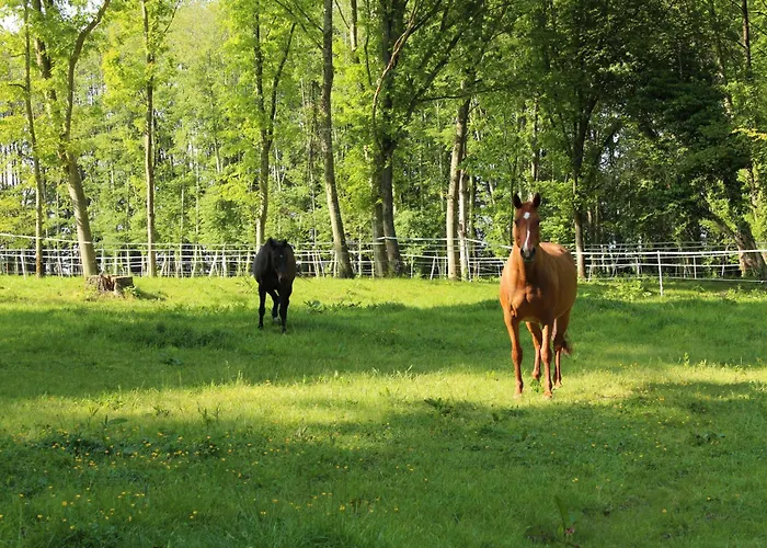Domaine De L'olympe *